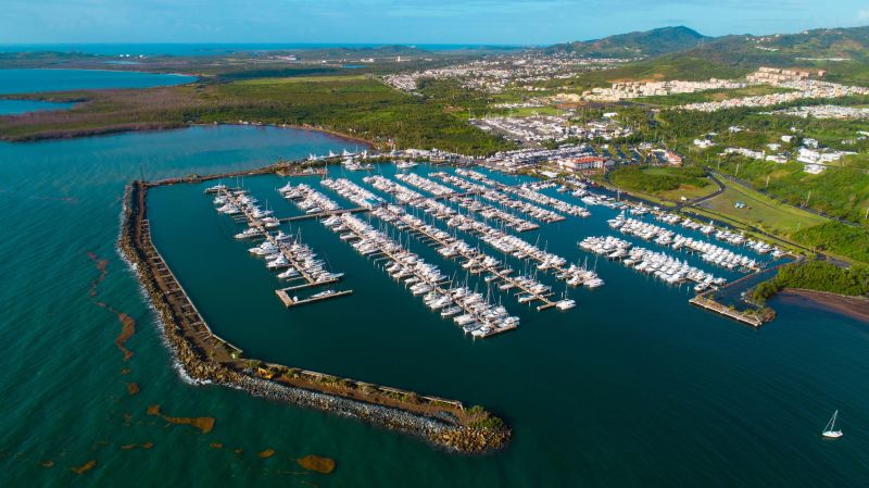 safe harbor puerto del rey yacht charters