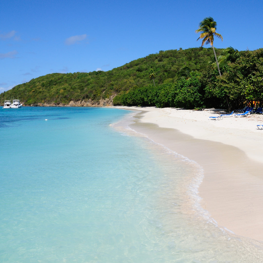 Palomino Island private boat tour